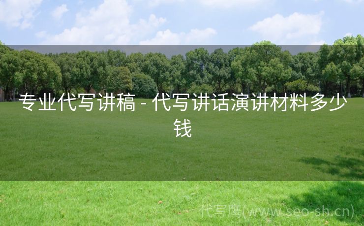 专业代写讲稿 - 代写讲话演讲材料多少钱