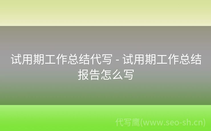试用期工作总结代写 - 试用期工作总结报告怎么写