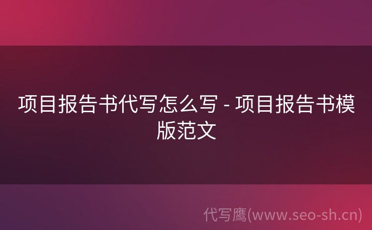 项目报告书代写怎么写 - 项目报告书模版范文