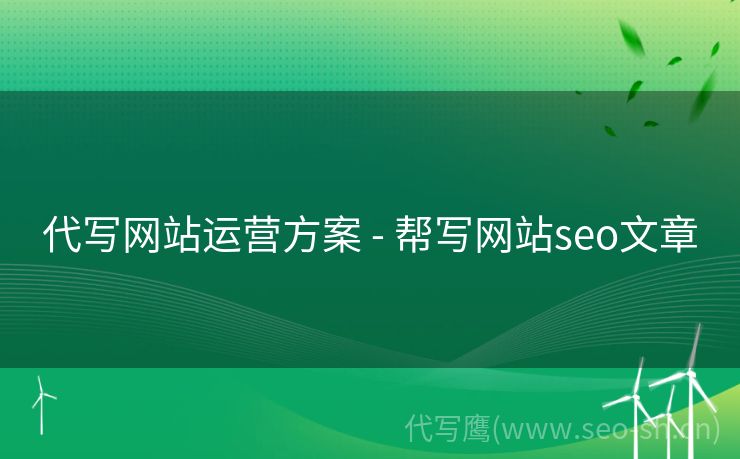 代写网站运营方案 - 帮写网站seo文章