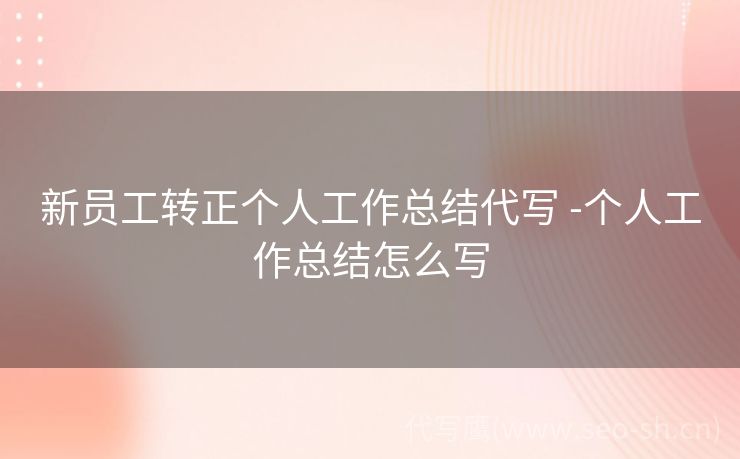 新员工转正个人工作总结代写 -个人工作总结怎么写