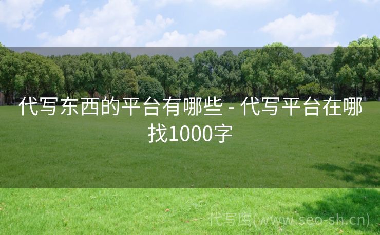 代写东西的平台有哪些 - 代写平台在哪找1000字